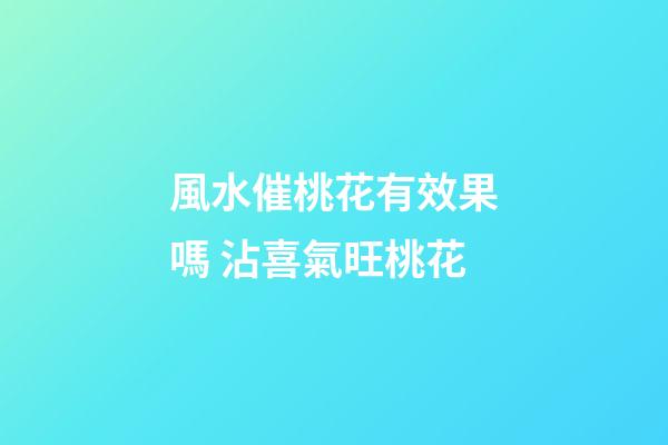 風水催桃花有效果嗎 沾喜氣旺桃花